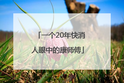 一个20年快消人眼中的康师傅