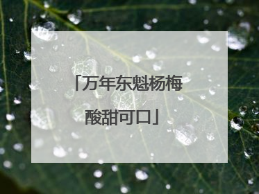 万年东魁杨梅 酸甜可口
