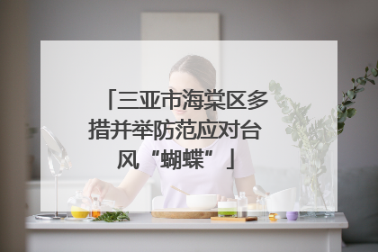 三亚市海棠区多措并举防范应对台风“蝴蝶”