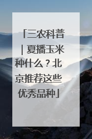 三农科普｜夏播玉米种什么？北京推荐这些优秀品种