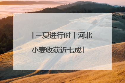 三夏进行时丨河北小麦收获近七成