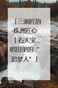 三湘匠韵·株洲匠心丨石天宝：稻田里的“追梦人”