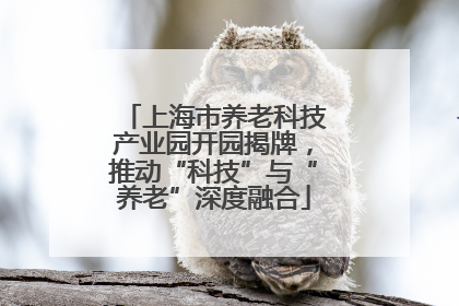 上海市养老科技产业园开园揭牌，推动“科技”与“养老”深度融合