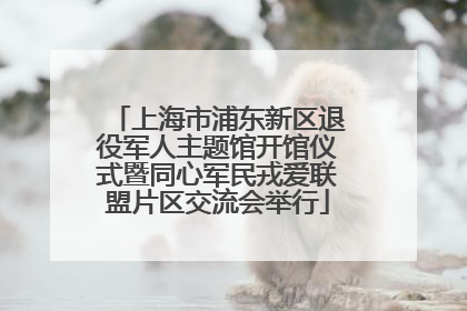上海市浦东新区退役军人主题馆开馆仪式暨同心军民戎爱联盟片区交流会举行