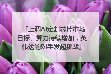 上调AI定制芯片市场目标、算力持续增加，英伟达的对手发起挑战