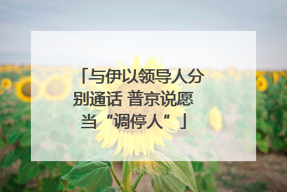 与伊以领导人分别通话 普京说愿当“调停人”