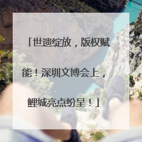世遗绽放，版权赋能！深圳文博会上，鲤城亮点纷呈！