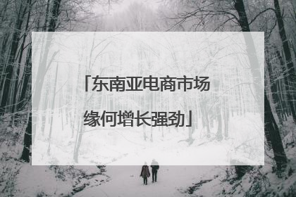 东南亚电商市场缘何增长强劲