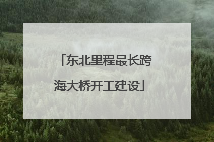 东北里程最长跨海大桥开工建设