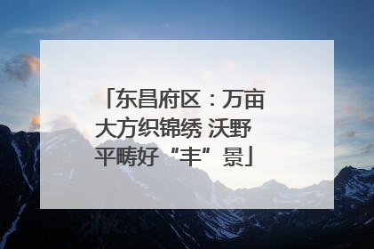 东昌府区：万亩大方织锦绣 沃野平畴好“丰”景