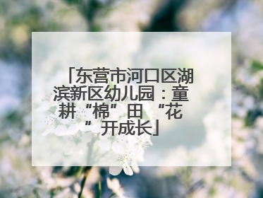 东营市河口区湖滨新区幼儿园：童耕“棉”田 “花”开成长