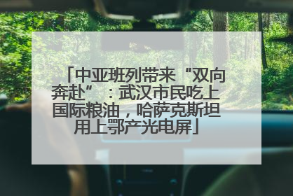 中亚班列带来“双向奔赴”：武汉市民吃上国际粮油，哈萨克斯坦用上鄂产光电屏