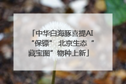 中华白海豚喜提AI“保镖” 北京生态“藏宝图”物种上新