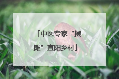 中医专家“摆摊”宜阳乡村