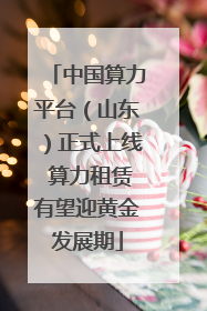 中国算力平台（山东）正式上线 算力租赁有望迎黄金发展期