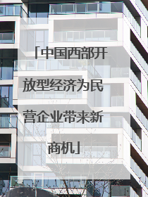 中国西部开放型经济为民营企业带来新商机