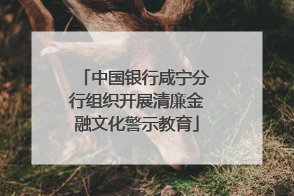 中国银行咸宁分行组织开展清廉金融文化警示教育