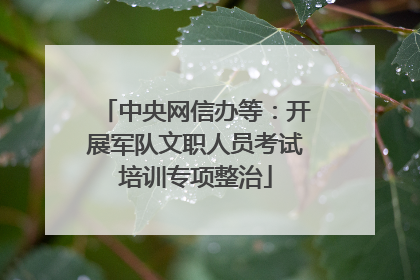 中央网信办等：开展军队文职人员考试培训专项整治