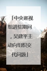 中央巡视组进驻期间，吴建平主动向组织交代问题