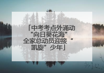 中考考点外涌动“向日葵花海” 全家总动员迎接“凯旋”少年