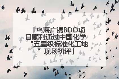 乌海广锦BDO项目顺利通过中国化学“五星级标准化工地”现场初评