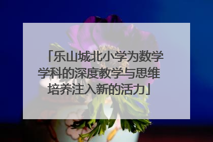 乐山城北小学为数学学科的深度教学与思维培养注入新的活力