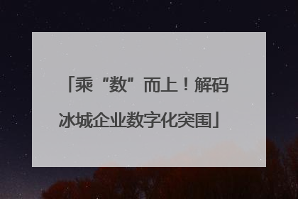 乘“数”而上！解码冰城企业数字化突围