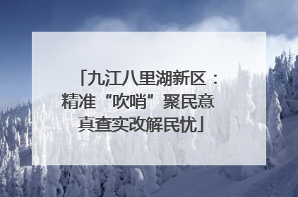 九江八里湖新区：精准“吹哨”聚民意 真查实改解民忧