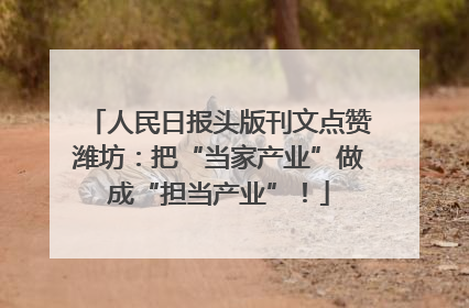 人民日报头版刊文点赞潍坊：把“当家产业”做成“担当产业”！