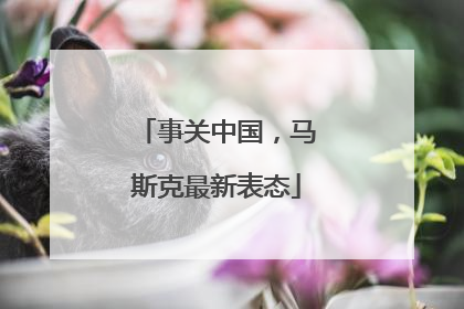 事关中国，马斯克最新表态