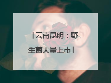 云南昆明：野生菌大量上市
