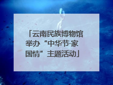 云南民族博物馆举办“中华节·家国情”主题活动