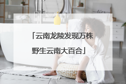 云南龙陵发现万株野生云南大百合