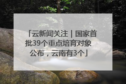 云新闻关注｜国家首批39个重点培育对象公布，云南有3个