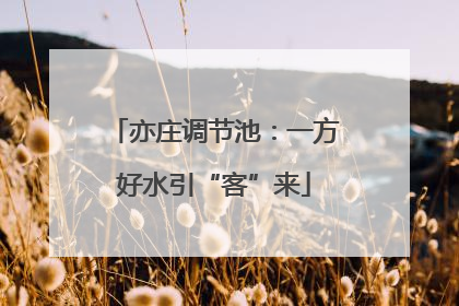 亦庄调节池：一方好水引“客”来
