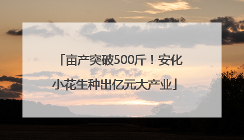 亩产突破500斤！安化小花生种出亿元大产业