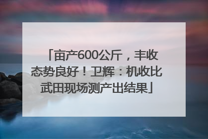 亩产600公斤，丰收态势良好！卫辉：机收比武田现场测产出结果