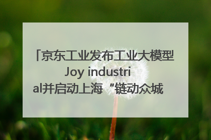 京东工业发布工业大模型Joy industrial并启动上海“链动众城 万亿降本”计划
