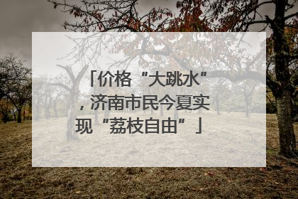 价格“大跳水”，济南市民今夏实现“荔枝自由”