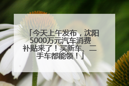今天上午发布，沈阳5000万元汽车消费补贴来了！买新车、二手车都能领！