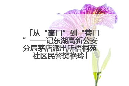 从“窗口”到“巷口”——记东湖高新公安分局茅店派出所梧桐苑社区民警樊艳玲