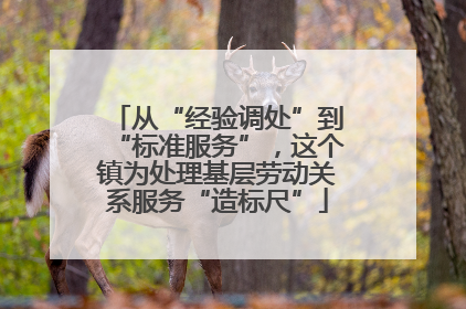 从“经验调处”到“标准服务”，这个镇为处理基层劳动关系服务“造标尺”