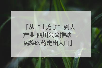 从“土方子”到大产业 四川兴文推动民族医药走出大山
