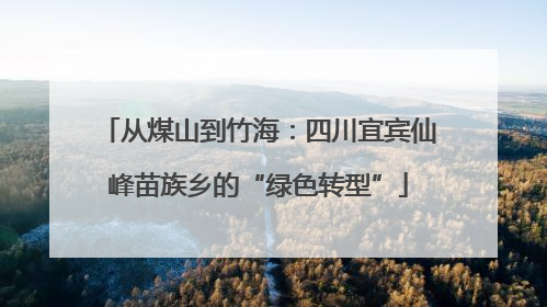 从煤山到竹海：四川宜宾仙峰苗族乡的“绿色转型”