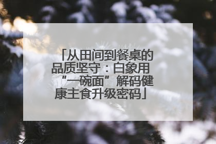 从田间到餐桌的品质坚守：白象用“一碗面”解码健康主食升级密码
