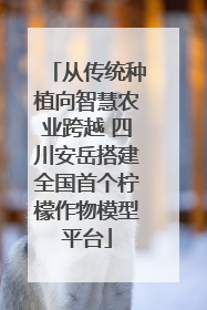 从传统种植向智慧农业跨越 四川安岳搭建全国首个柠檬作物模型平台