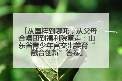 从国粹到哪吒，从父母合唱团到福利院童声：山东省青少年宫交出美育“融合创新”答卷