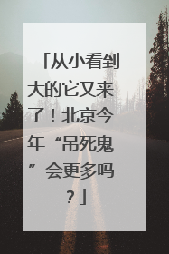 从小看到大的它又来了！北京今年“吊死鬼”会更多吗？