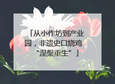 从小作坊到产业园，非遗史口烧鸡“涅槃重生”