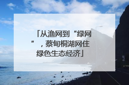 从渔网到“绿网”，蔡甸桐湖网住绿色生态经济